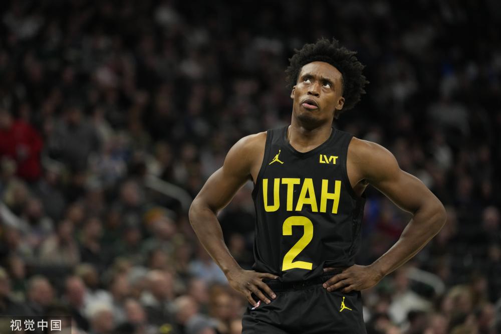 10号种子 10号种子